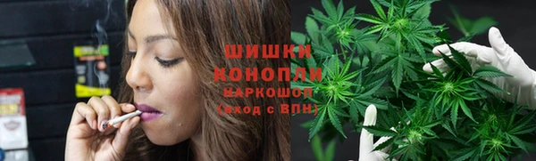 мдпв Россошь