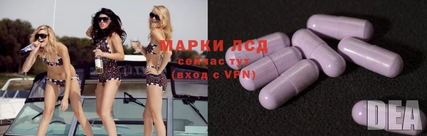 гидропоника Белокуриха