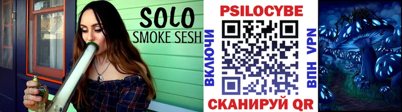 Псилоцибиновые грибы Cubensis  Бутурлиновка 