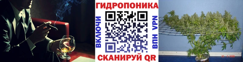 МАРИХУАНА семена  Бутурлиновка 